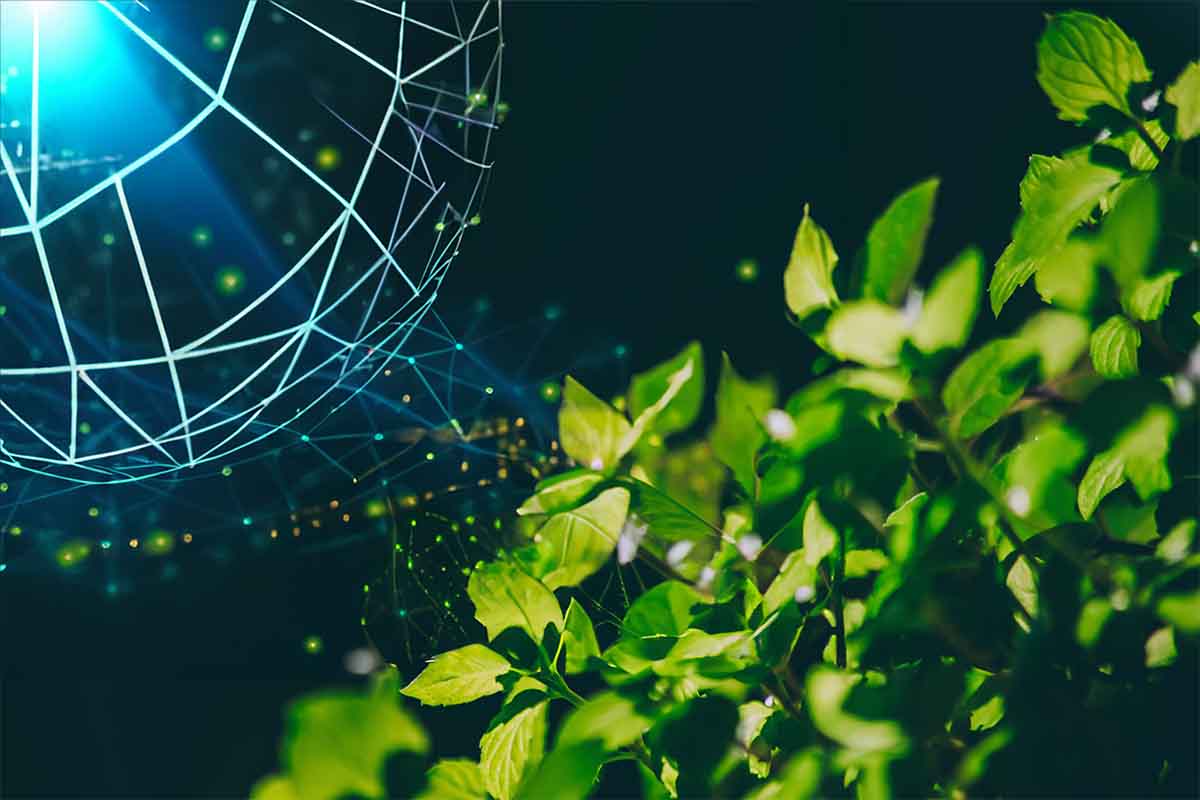 A generative AI photo illustration showing a mint garden with a tech web.